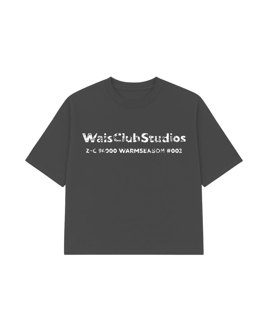 Remera Zip Code Grey