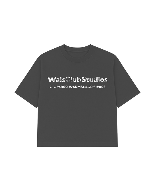 Remera Zip Code Grey