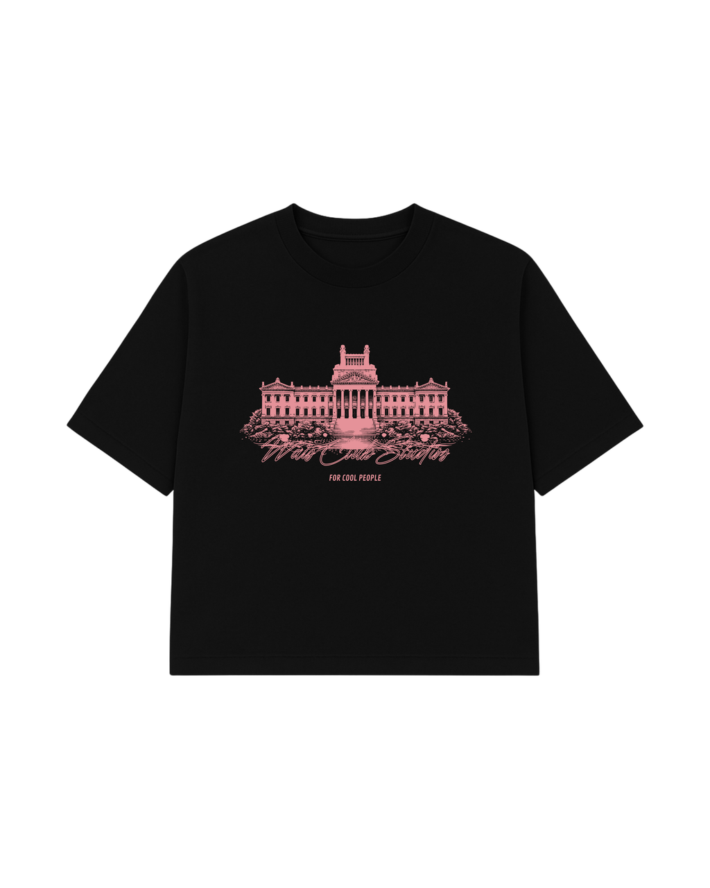REMERA PINK PALACE