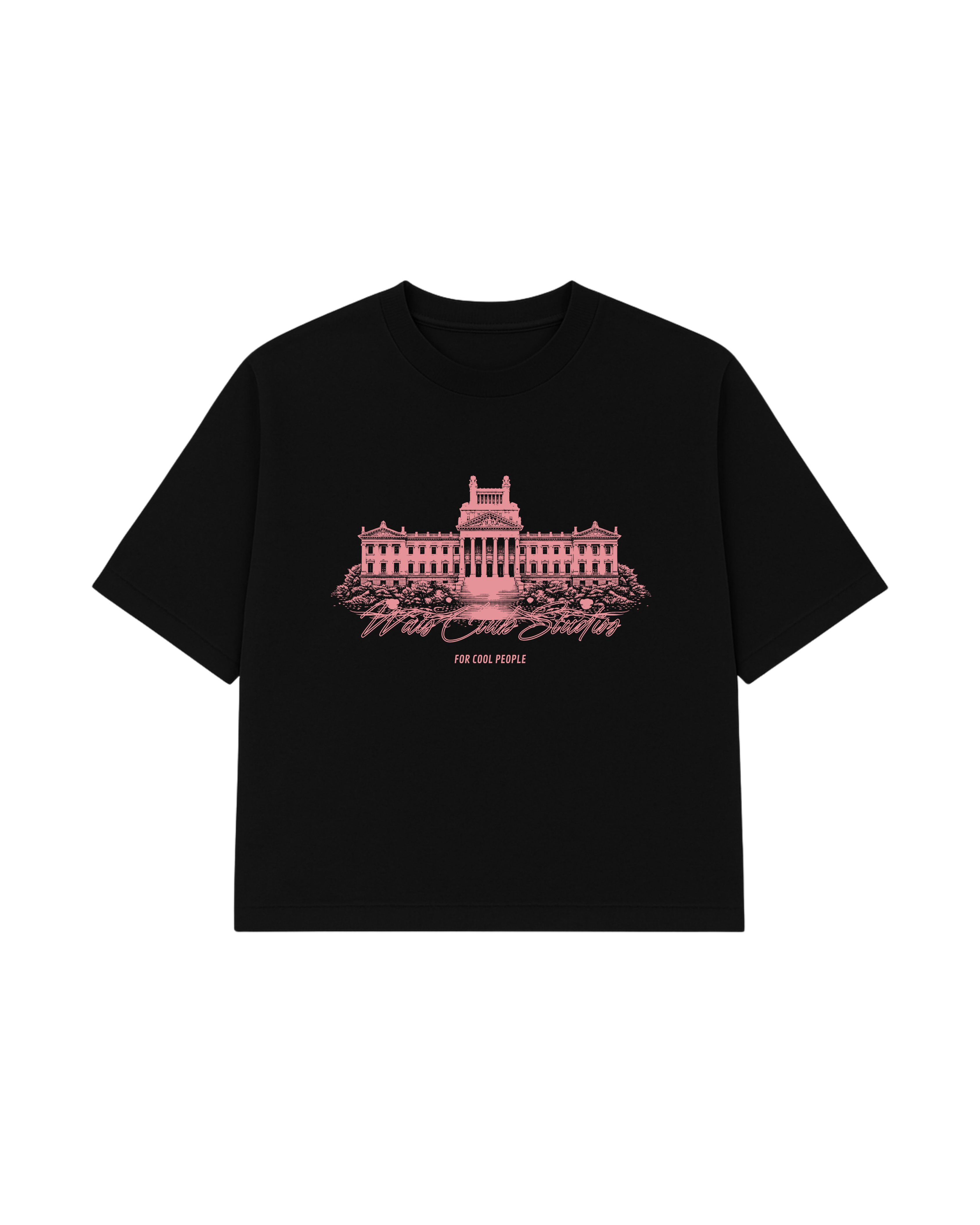REMERA PINK PALACE